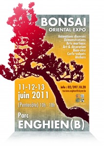 enghien 11-12-13 juin 2011 Aff-bonsai-mail-F-213x300